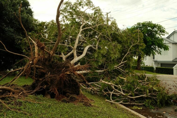 Sinistre tempête : comment être indemnisé par votre assurance habitation ?